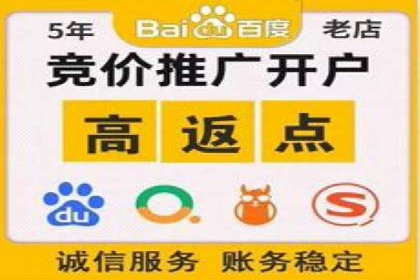 搜索引擎营销（SEM）成功运营的五大案例